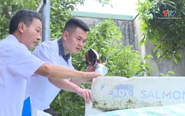 Tăng cường phát hiện sớm các nguy cơ dịch bệnh tại cộng đồng và cơ sở y tế