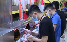 Nghị định 205/2025 của Chính phủ về phát triển công nghiệp hỗ trợ