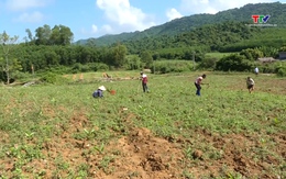 Chi trả dịch vụ môi trường rừng góp phần bảo vệ và phát triển rừng bền vững