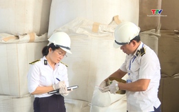 Tăng cường điều tra sinh vật gây hại trong các kho bảo quản nông sản thực vật