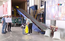 Gạo Việt Nam giữ lợi thế ở phân khúc cao cấp