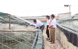 Hiệu quả sản xuất ứng dụng công nghệ cao