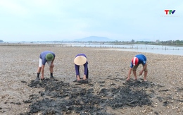 Tập trung xử lý tình trạng ngao chết hàng loạt ở phường Ngọc Sơn