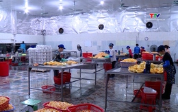 Xuất khẩu nông, lâm, thủy sản 7 tháng đạt gần 40 tỷ USD 