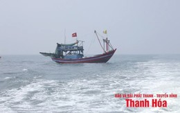Khẩn trương triển khai các biện pháp ứng phó với áp thấp nhiệt đới trên Biển Đông