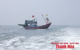 Ứng phó với áp thấp nhiệt đới trên biển Đông
