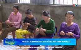 Bản tin Nông nghiệp nông thôn ngày 9/8/2025