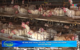 Bản tin Nông nghiệp nông thôn ngày 10/9/2025