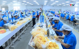 Doanh nghiệp tăng tốc sản xuất, mở rộng thị trường cuối năm