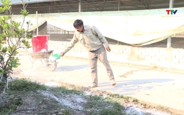 Vệ sinh, khử trùng tiêu độc, phòng chống dịch bệnh cho gia súc, gia cầm