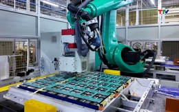 Robot hợp tác - Đòn bẩy mới cho hiệu suất sản xuất