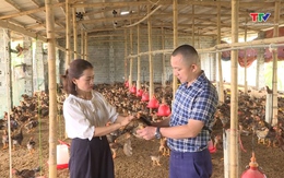 Phát triển chuỗi liên kết chăn nuôi gia cầm