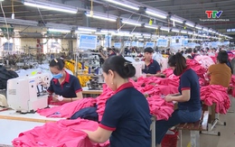 Doanh nghiệp Thanh Hóa chủ động đa dạng thị trường xuất khẩu