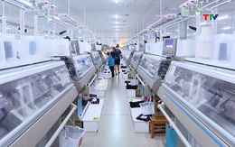 Tập trung thực hiện chỉ tiêu thu ngân sách nhà nước