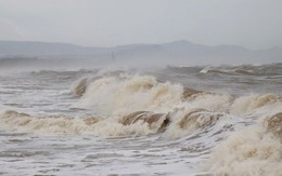Chủ động ứng phó với bão RAGASA