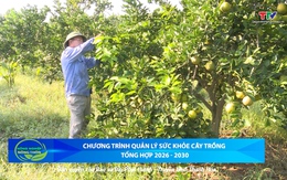 Bản tin Nông nghiệp – Nông thôn 20/9/2025