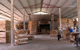Phê duyệt Đề án xây dựng Cơ sở dữ liệu doanh nghiệp toàn quốc