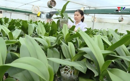 Bản tin Số và công nghệ ngày 24/9/2025
