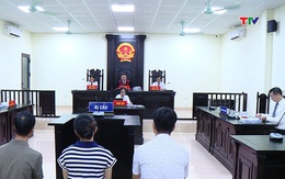 Xét xử các đối tượng sản xuất, buôn bán đệm giả nhãn hiệu EVERON