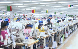 Đẩy mạnh sản xuất kinh doanh đảm bảo việc làm cho người lao động