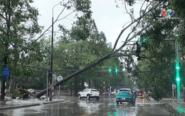 Mưa lớn, gió mạnh gây ngập sâu và gẫy đổ cây xanh tại nhiều khu vực phường Hạc Thành và các vùng lân cận