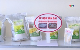 Xây dựng sản phẩm OCOP từ lúa gạo chất lượng cao