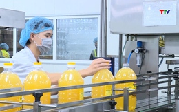 Giải pháp phát triển ngành công nghiệp hỗ trợ