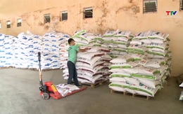 Dự kiến giảm thuế suất nhập khẩu ngô xuống 3%