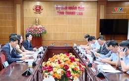 Phó Chủ tịch Thường trực UBND tỉnh làm việc với Công ty TNHH JERA Energy Việt Nam
