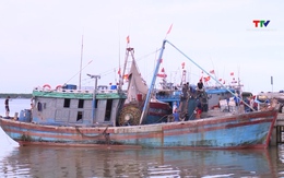 Ba tuần liên tiếp không có tàu cá Việt Nam bị nước ngoài bắt giữ
