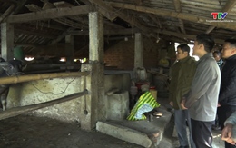 Chi cục Chăn nuôi và Thú y kiểm tra công tác phòng chống đói rét cho đàn vật nuôi.