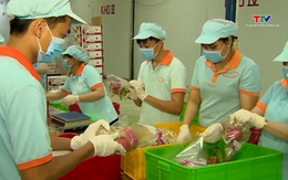 Chất lượng nông sản Việt được EU ghi nhận