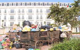 Tập trung xử lý rác thải sinh hoạt ùn ứ, tồn đọng