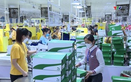 Tăng tốc sản xuất kinh doanh ngay từ đầu năm 2026