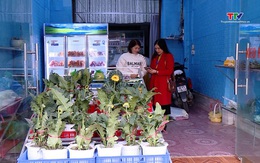 Thanh Hóa huy động hơn 2.500 điều tra viên cho Tổng điều tra kinh tế 2026