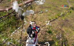 Sắc đông Son Bá Mười