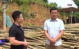 Nâng cao giá trị kinh tế rừng luồng