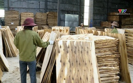 Ngành gỗ lần đầu xuất khẩu vượt mốc 17 tỷ USD