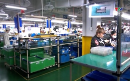 Triển khai thực hiện Hiệp định UKVFTA