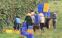 Mở rộng thị trường xuất khẩu nông sản Thanh Hóa