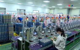 Tiếp tục hỗ trợ doanh nghiệp xử lý vướng mắc trong xuất khẩu