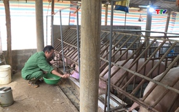 Chủ động phòng chống đói, rét cho đàn vật nuôi