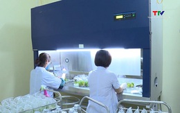 Ứng dụng công nghệ nuôi cấy mô tế bào thực vật