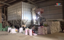 Bộ Công Thương lưu ý việc xuất khẩu gạo sang Indonesia 