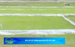 Bản tin Nông nghiệp – Nông thôn ngày 24/01/2026