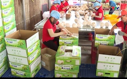 Xuất khẩu rau quả tháng 1/2026 tăng cao