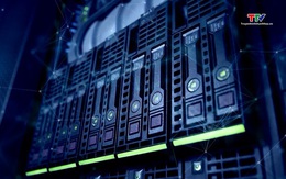 Đấu giá thành công mã, số dịch vụ viễn thông