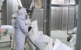 Dự báo Việt Nam dẫn đầu tăng trưởng trong khu vực Asean+3