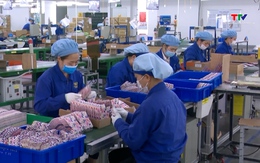 Năm 2026, Việt Nam tiếp tục là điểm đến thu hút vốn FDI 