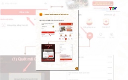 Hướng dẫn nộp hồ sơ trực tuyến ứng cử đại biểu Quốc hội, HĐND